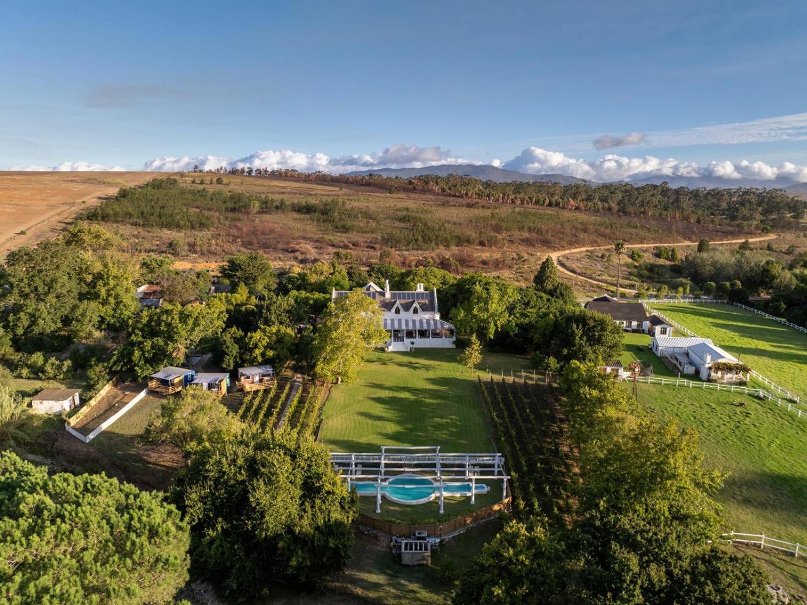 Caledon Grace Guesthouse Dış mekan fotoğraf